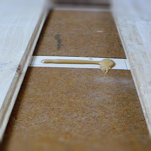 Pannelli isolanti in fibra di legno FiberTherm Floor massetto a secco